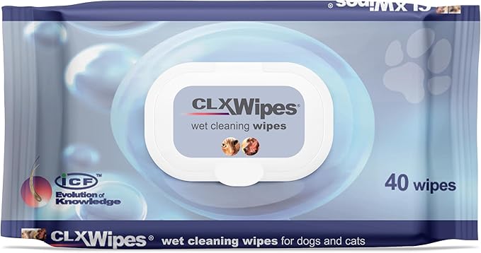 CLX Wipes